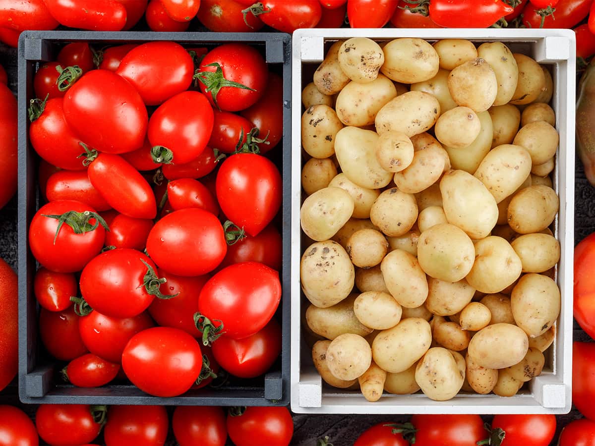 Νέα επιστημονική ανακάλυψη για την καταγωγή της πατάτας