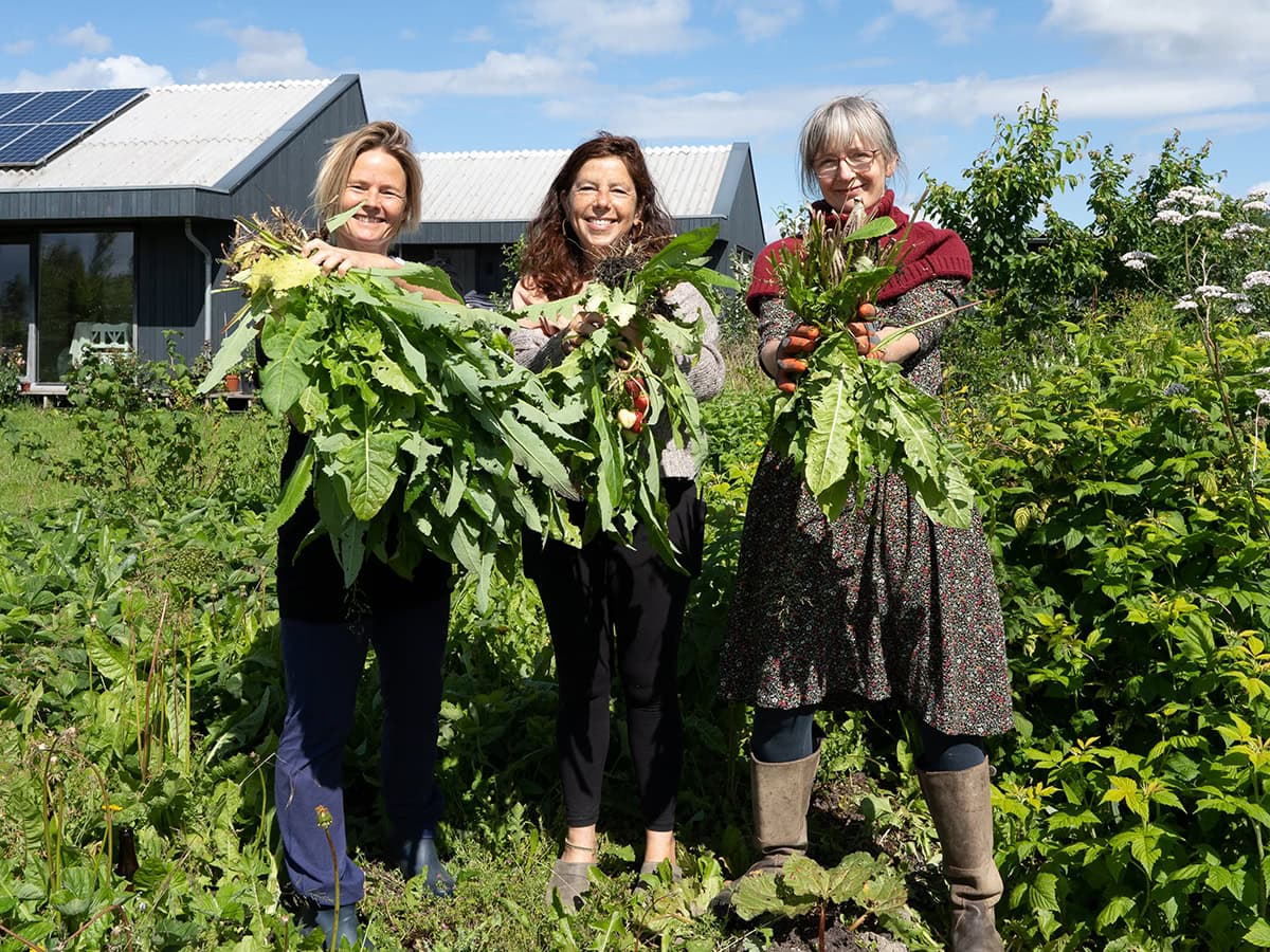Oosterwold Ολλανδία κάτοικοι καλλιεργούν φαγητό