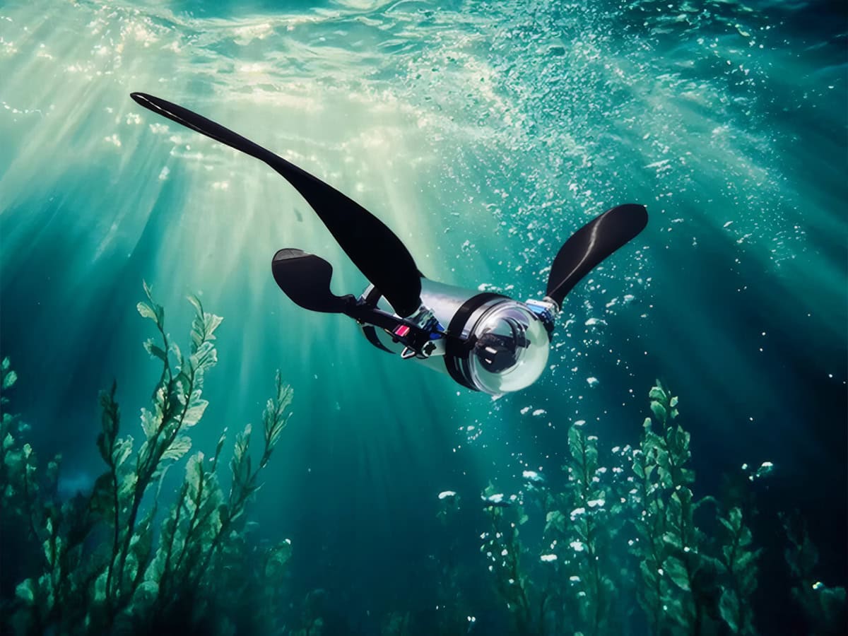 Evan Budz: η βιονική χελώνα που προστατεύει τους ωκεανούς