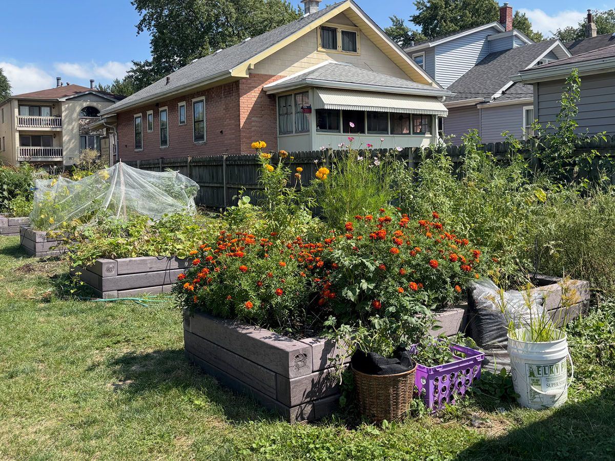 Ο σχολικός κήπος που διδάσκει ζωή και αστική καλλιέργεια