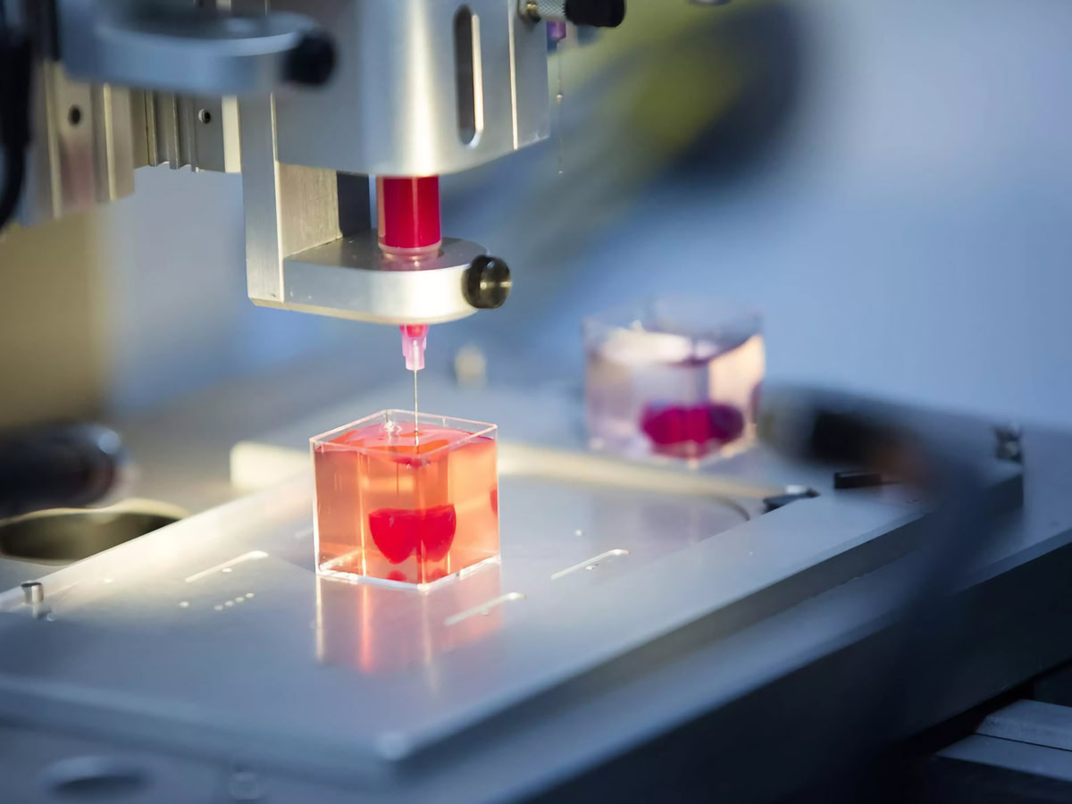 3D εκτυπωμένος ιστός συκωτιού από ανθρώπινα κύτταρα