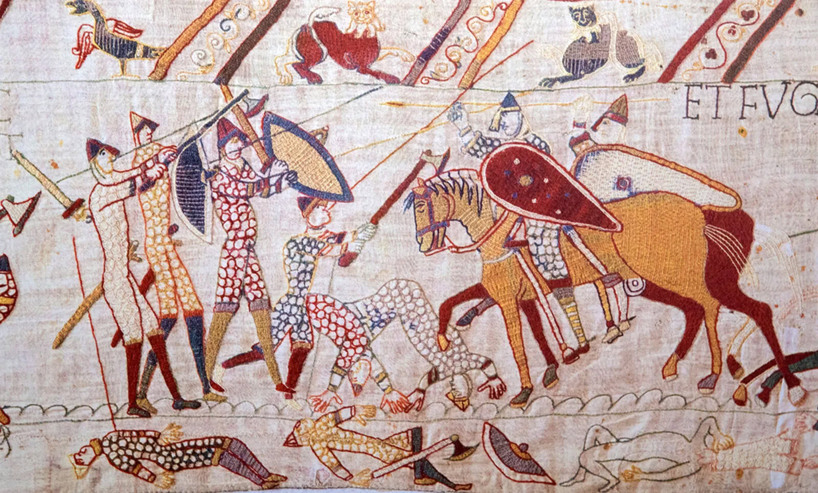 bayeaux 4