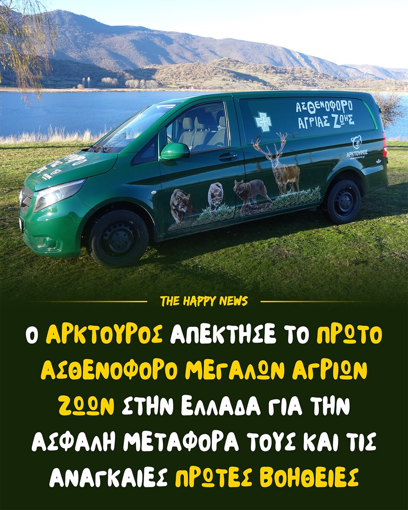 IMAGE – Όταν ένα άγριο ζώο τραυματίζεται, ο χρόνος είναι