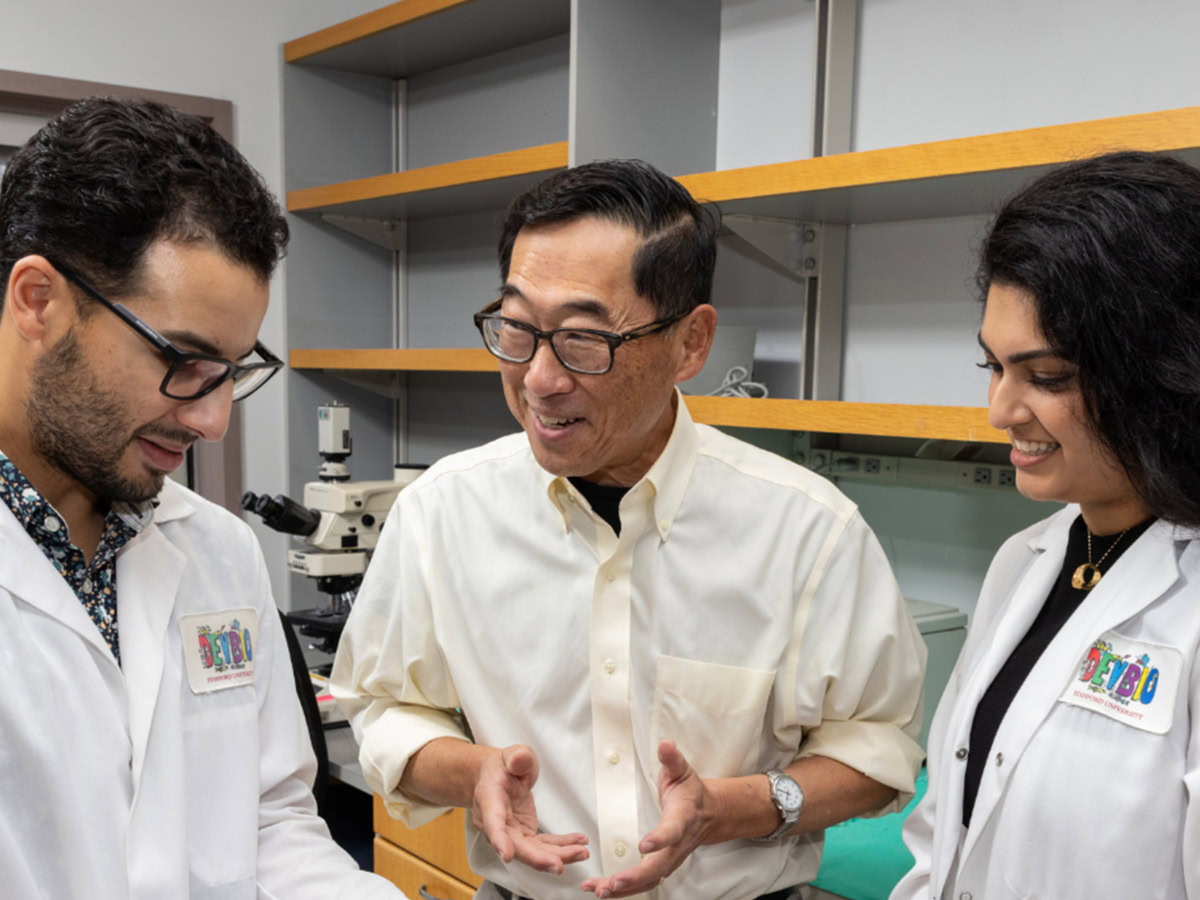 Αναστροφή διαβήτη τύπου 1 από ερευνητές του Stanford