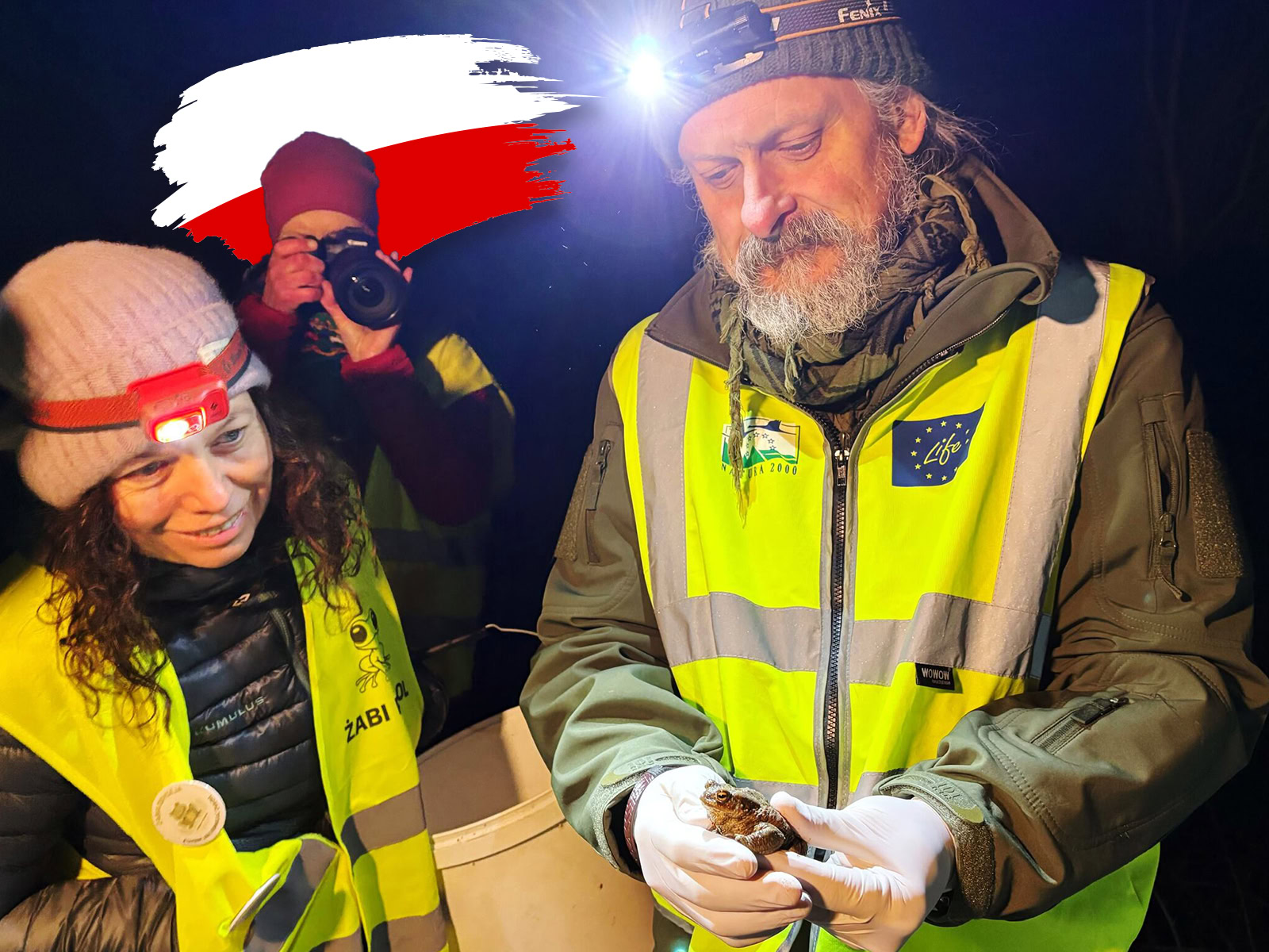 Η εθελοντική δράση που σώζει τα αμφίβια στην Πολωνία